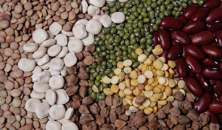 Foods Help Lose Weight Pulses