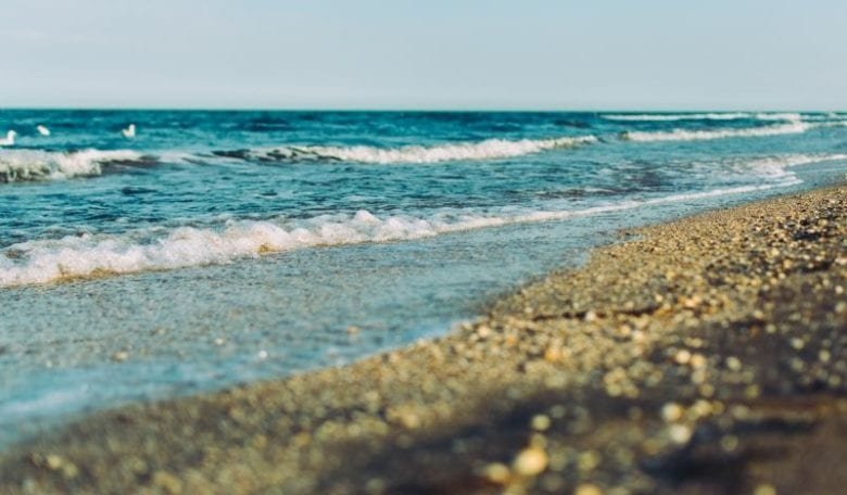 Ride the emotional wave