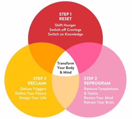 How DownsizeMe me works