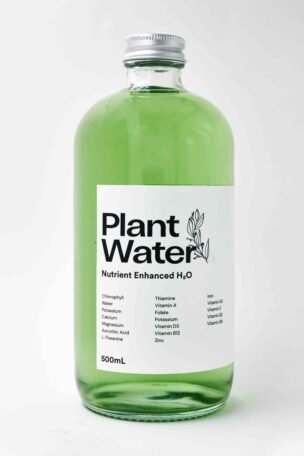 plant water